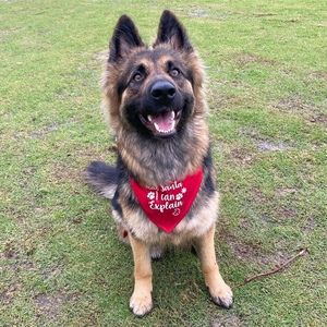 Meet your Posher, Bridgette